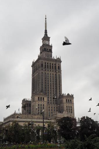 Palác kultury s holuby
