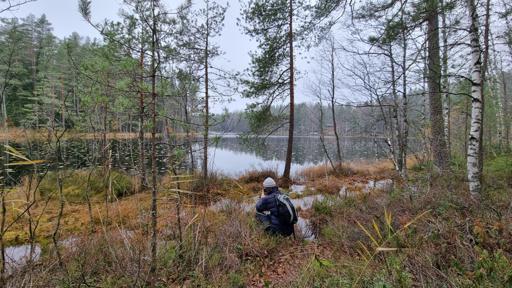Nuuksio