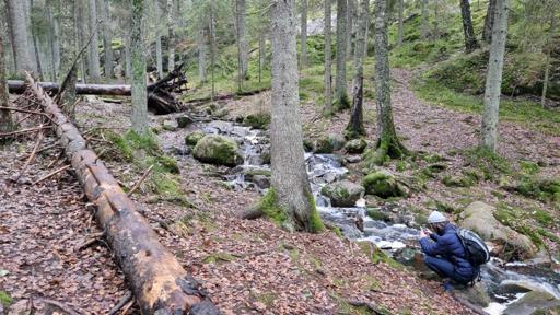 Nuuksio