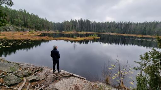 Nuuksio