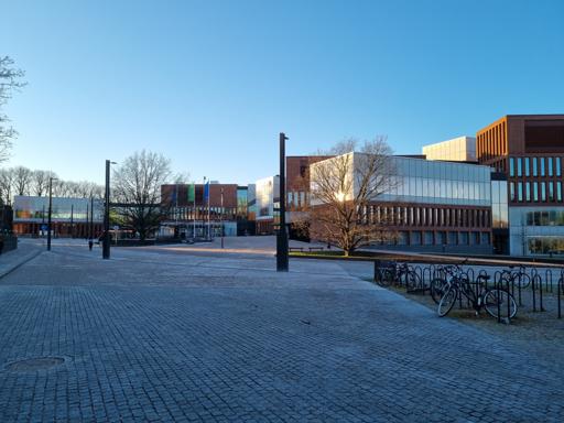 Kampus